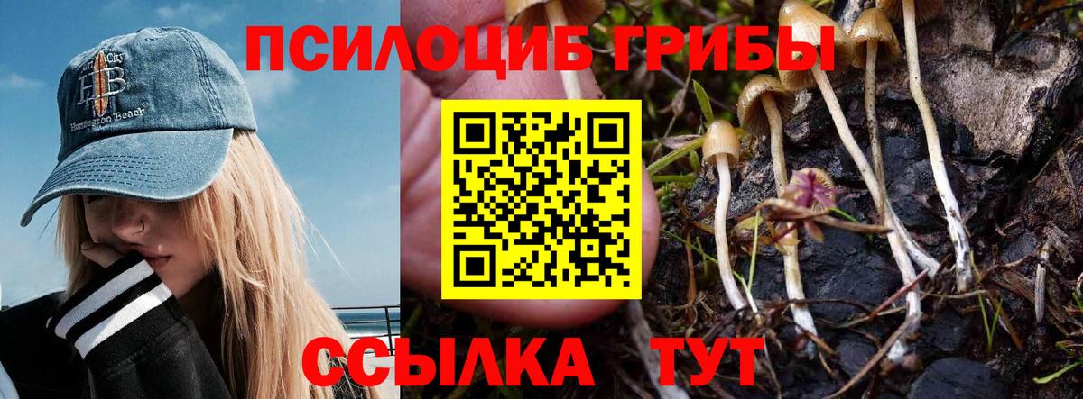 Псилоцибиновые грибы прущие грибы Пушкино