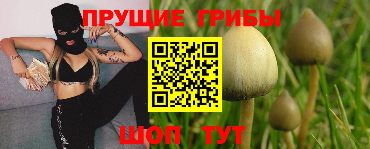 Пушкино  Галлюциногенные грибы прущие грибы  даркнет сайт  Вход с VPN 